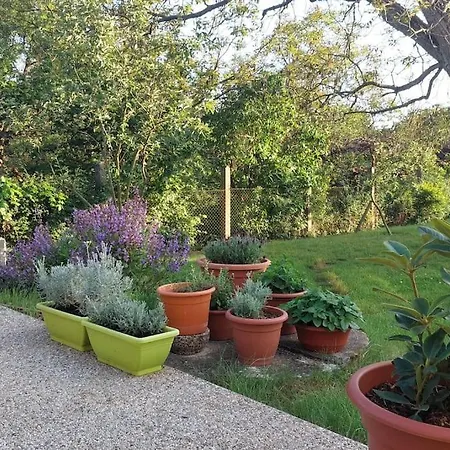 Holiday home House, 5 Bedrooms-9 Beds - *