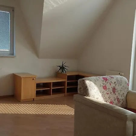 House, 5 Bedrooms-9 Beds - Prague